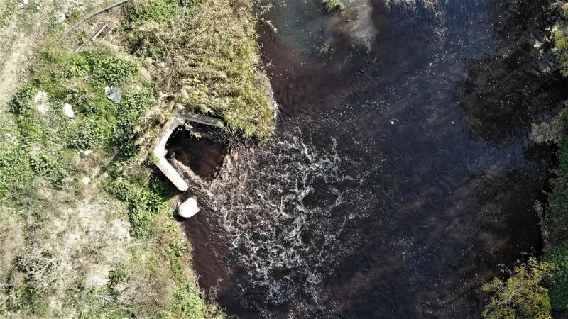 (Özel) Bursa’da derelere zehir salınıyor
