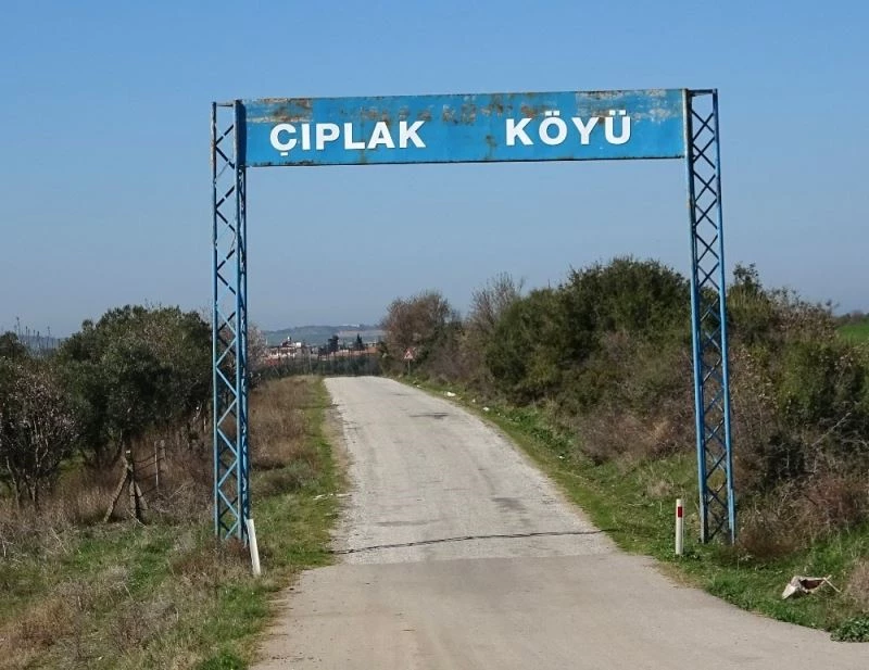 Eniştesini demir çubukla öldürdü
