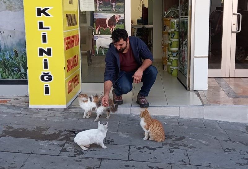 Sokak hayvanlarının veterineri
