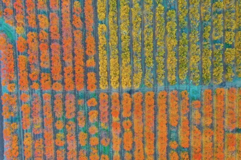 Amanoslar sonbahar renkleriyle kartpostallık görüntüler oluşturdu