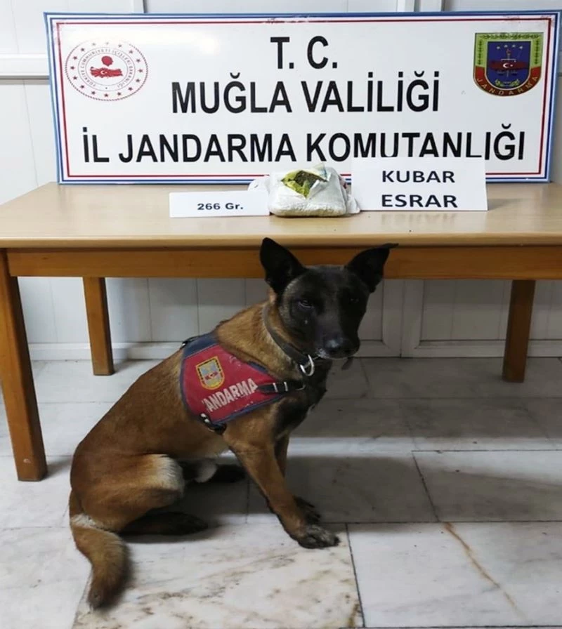 Cezaevinden izinli ayrıldı, dönüşte uyuşturucu ile yakalandı
