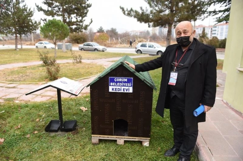 Başkan Aşğın sokağın hayvanlarına sahip çıktı
