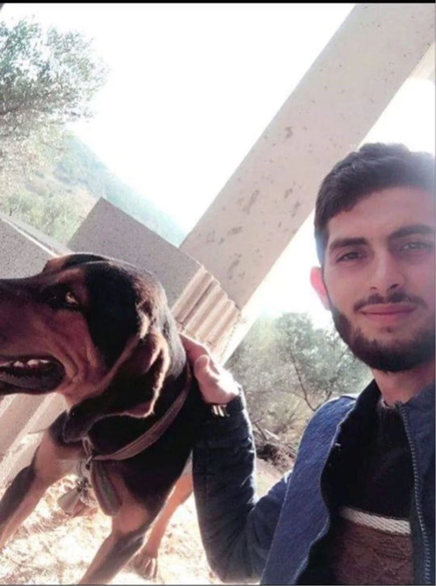 AVA GİDEN ARKADAŞLAR DOMUZU VURALIM DERKEN BİR BİRİNİ VURDULAR