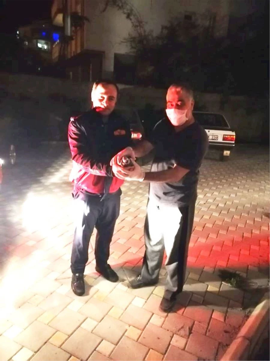 OSMANİYE’DE KÜÇÜK DİLA GÜNEŞ’İN DİKKATİ, AÇ KALAN GÜVERCİN’İ ÖLÜMDEN KURTARDI