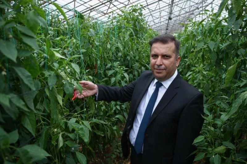 Prof. Dr. Davut Karayel: 