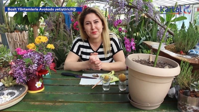 Kartal Belediyesi, evde bitki yetiştirmek isteyenler için YouTube videoları hazırladı

