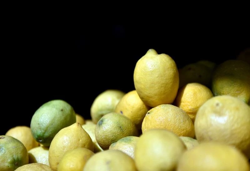 Limonda 10 bin tonluk dış satım izni ihracatçıları ve üreticileri sevindirdi