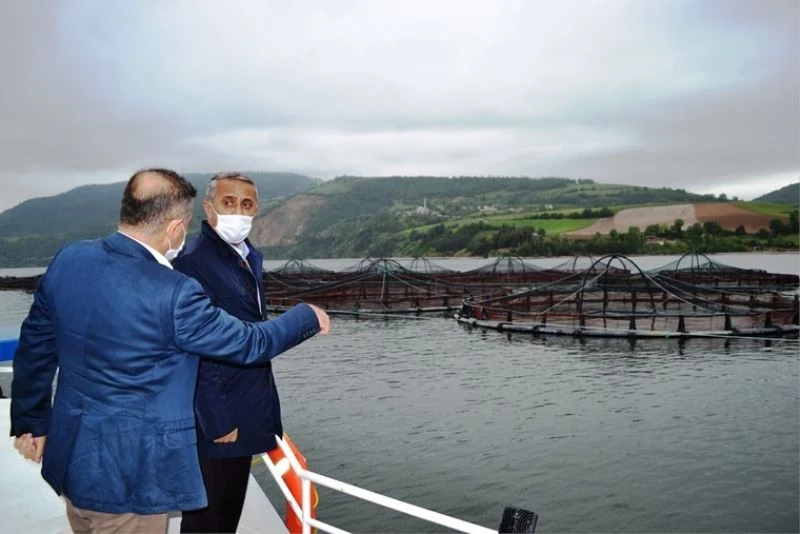 Samsun’da balık çiftliklerinde yılda 16 bin tondan fazla balık üretiliyor
