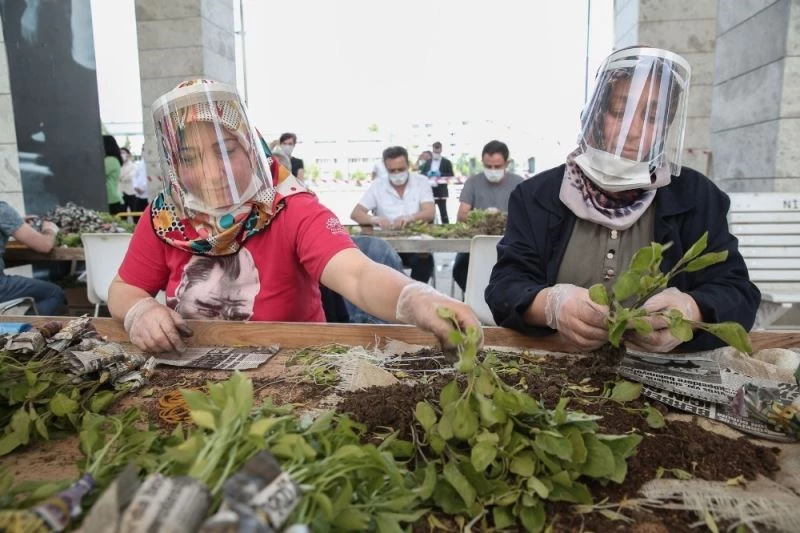 Nilüfer’de balkonlar sebzeyle dolacak
