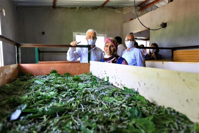 Başkan Gürün ipek böcekçiliği üreticileriyle buluştu
