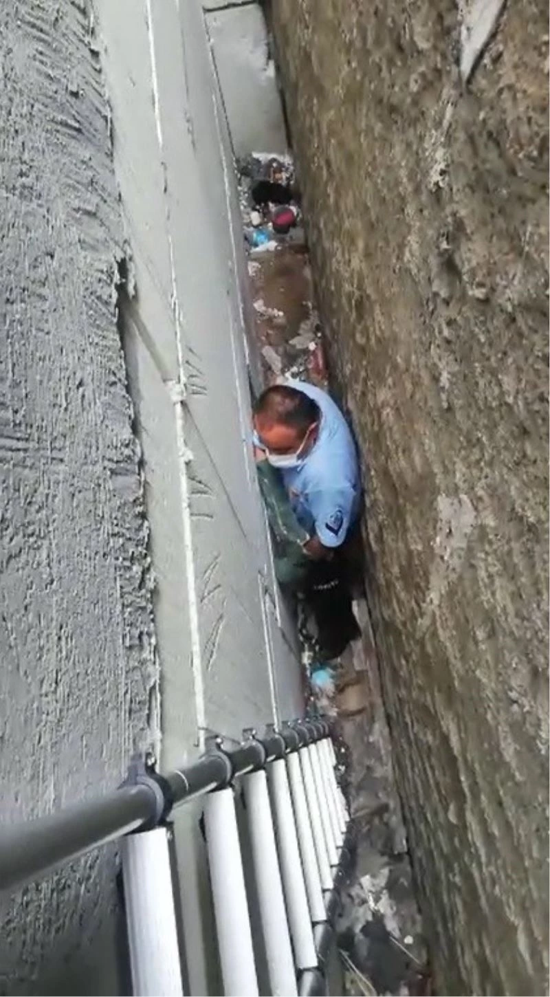 Kahraman itfaiyeci 8 metrelik boşluğa düşen yavru kediyi kurtardı
