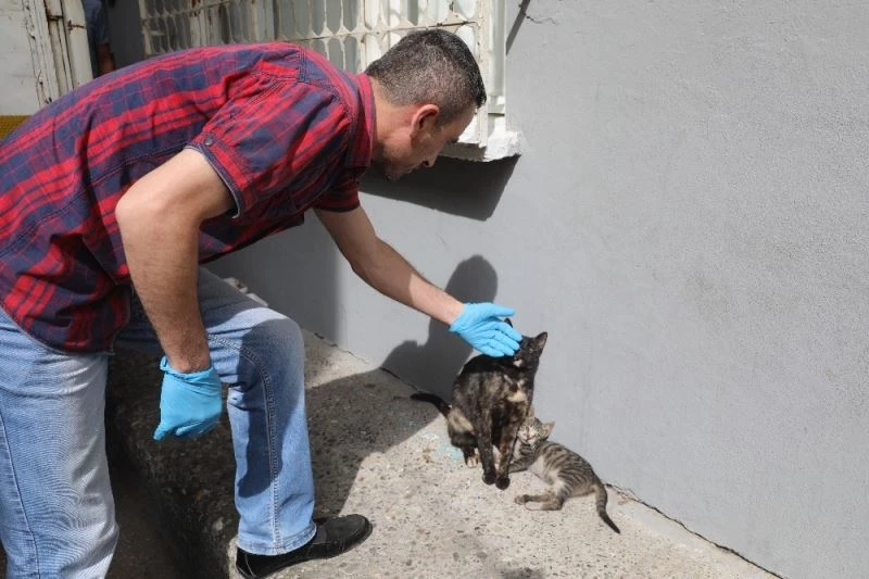 Gözlerini kaybetmek üzereydi, İlkadım Belediyesi yetişti
