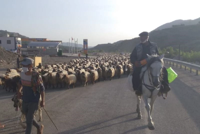 Göçerler zorlu yolculuklarını tamamladı
