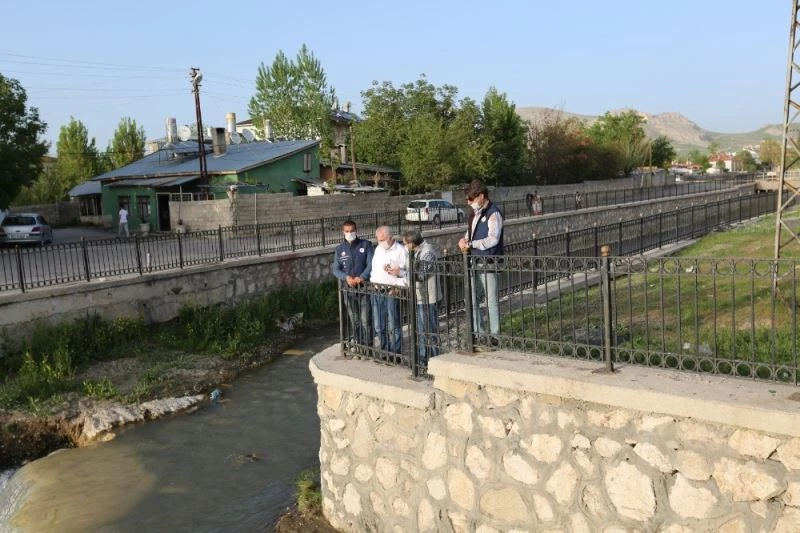 Dereye doğru göç eden inci kefalleri için komisyon kuruldu
