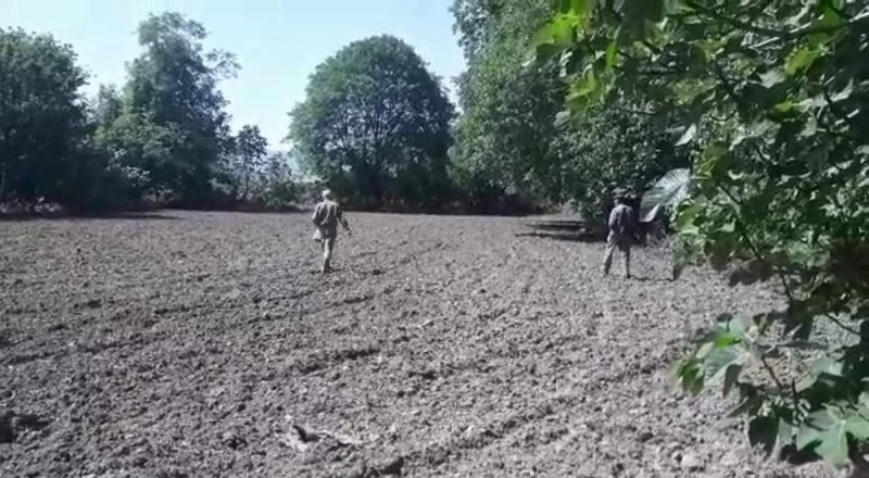 Siirt’te getirisi yüksek olan susam ekimine başladı
