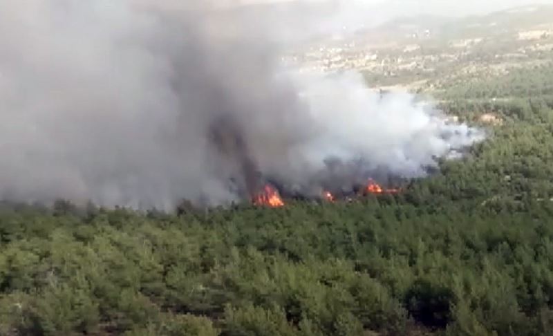 Muğla’daki orman yangını havadan ve karadan müdahaleye rağmen büyüyor
