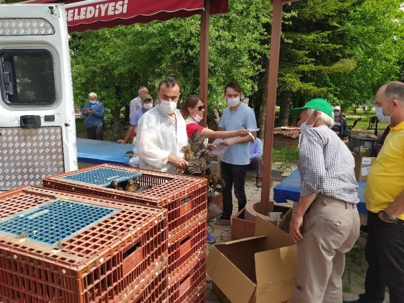 Daday Ziraat Odası, çiftçilere tavuk, hindi ve civciv dağıttı

