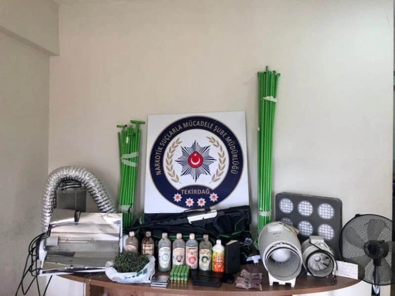 Evde esrar yetiştirip mahallelerindeki kullanıcılara sattılar
