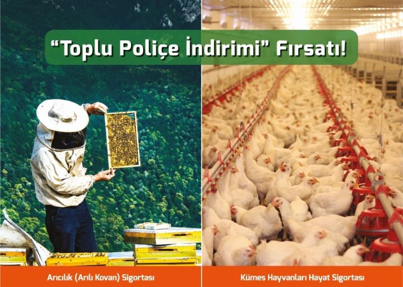 Arı yetiştiricileri ve kanatlı hayvan üreticilerine ’toplu poliçe indirimi’ fırsatı
