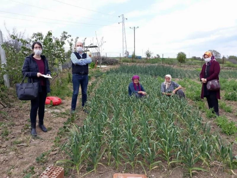 Kırklareli’de tarımsal istatistik çalışmaları TÜİK sisteminde
