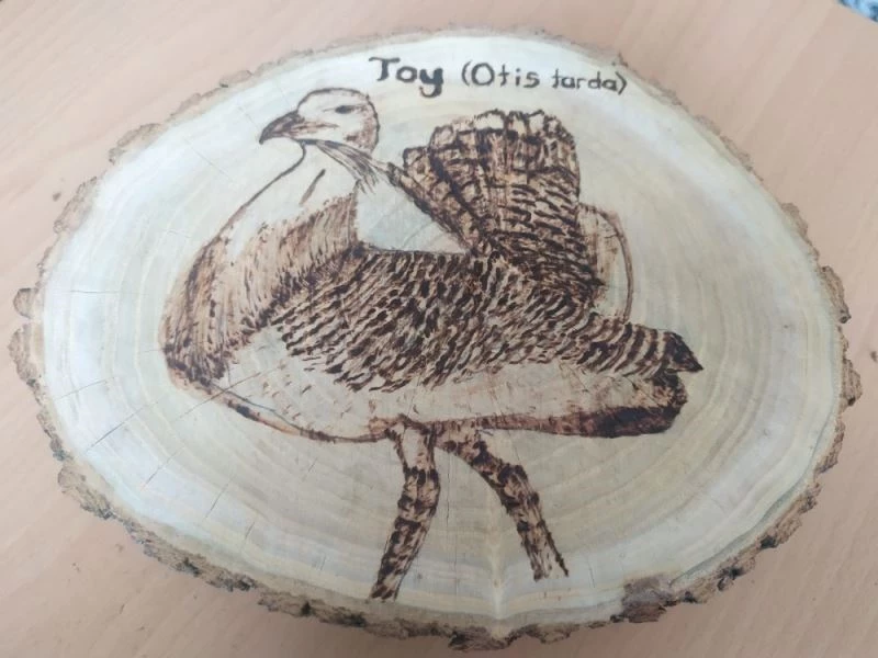 Ahşabı yakma sanatı ile nesli tükenmekte olan kuşların resmini çiziyor
