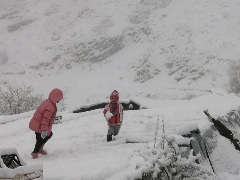 Artvin’de Mayıs ayında kar yağdı, hayvancılıkla uğraşanlar zor anlar yaşadı
