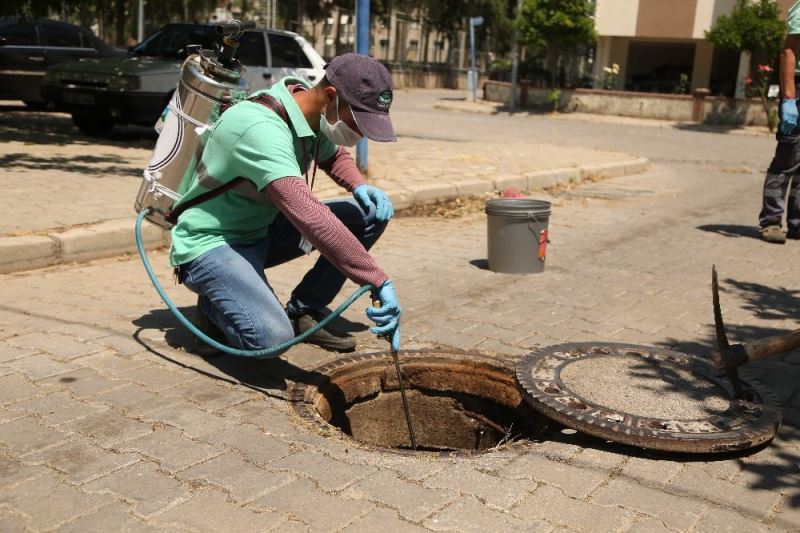 Efeler’de larva ilaçlaması sürüyor
