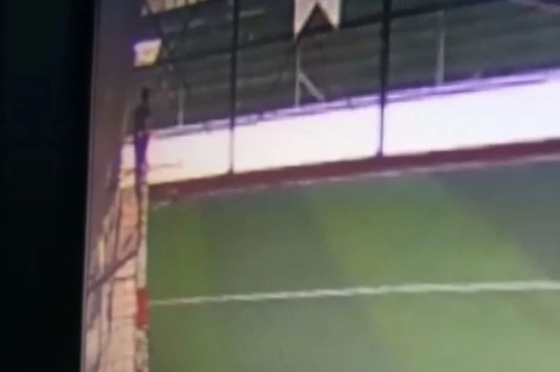 Halı saha içerisinde kediye yapılanlar vicdanları sızlattı
