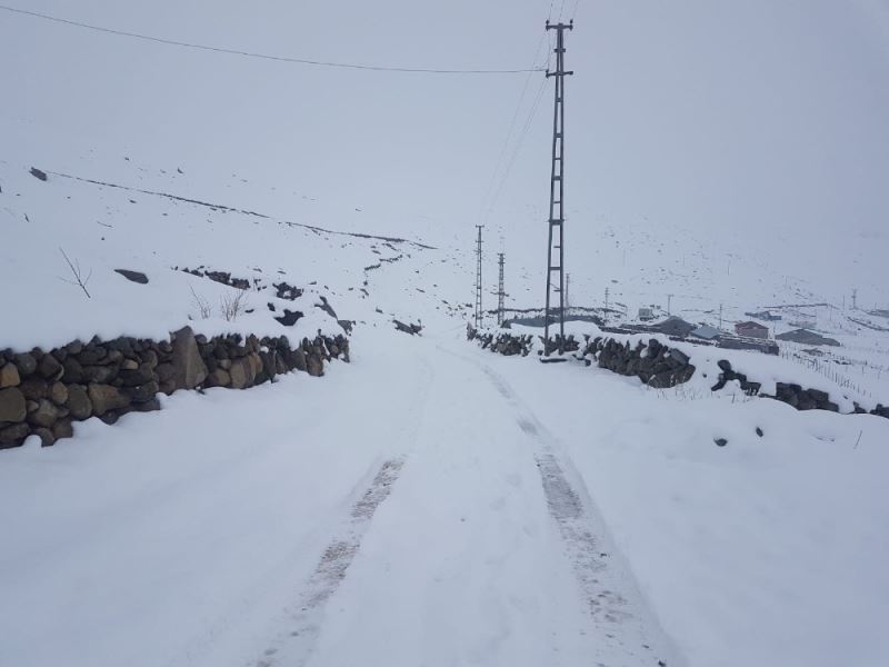 Giresun Valiliği yaylada mahsur kalan çobanların imdadına yetişti
