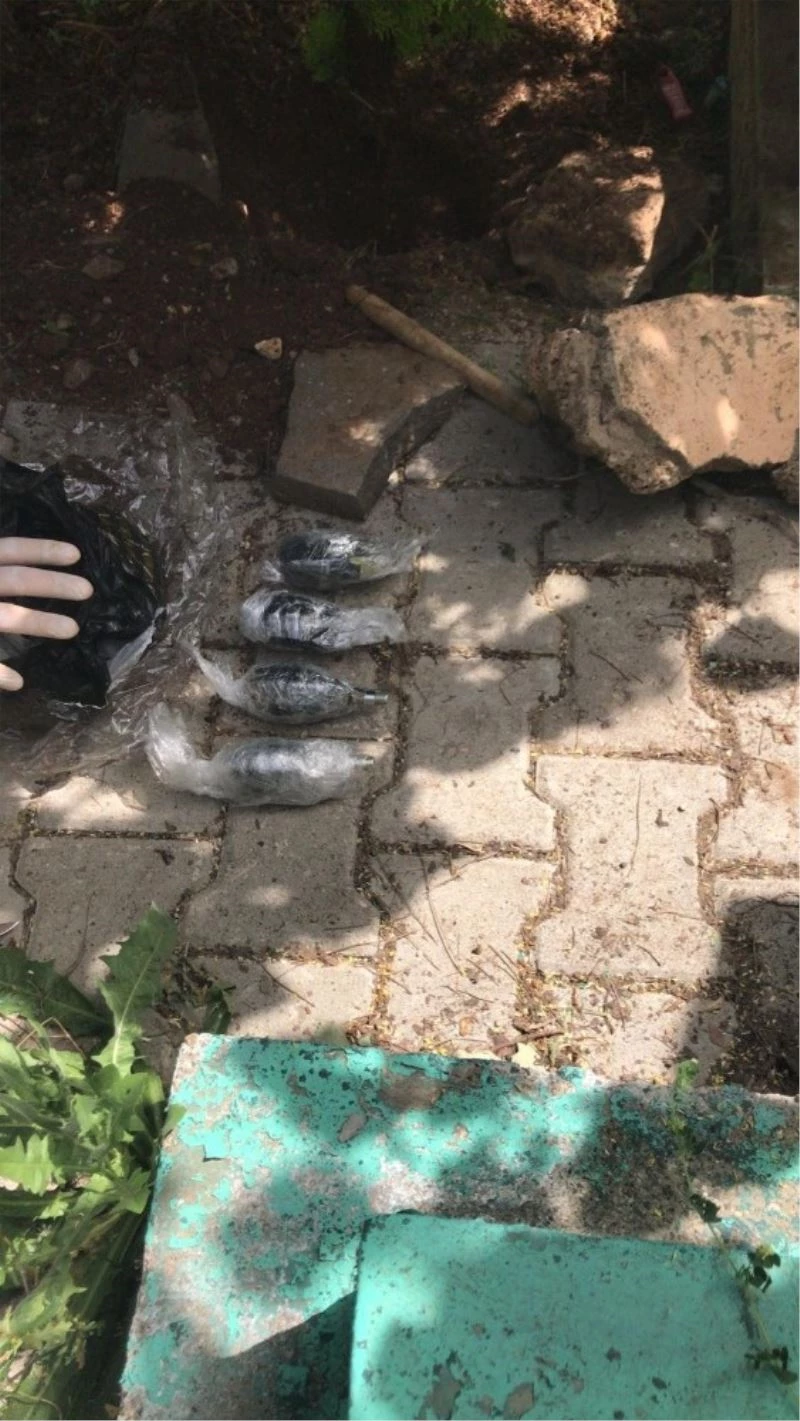 Bayramı kana bulayacaklardı
