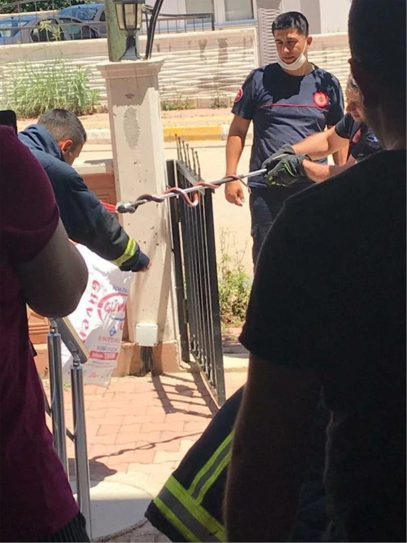 Apartmandaki yılan korku dolu anlar yaşattı
