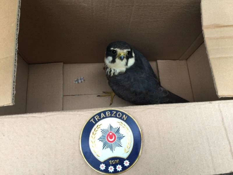 Kargaların saldırdığı kerkenezi polis ekipleri kurtardı
