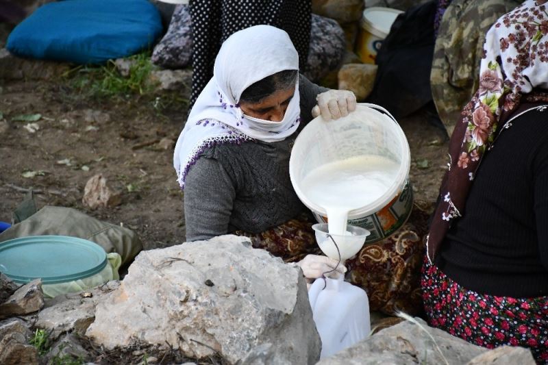 Şırnak’ta berivanların zorlu mesaisi başladı
