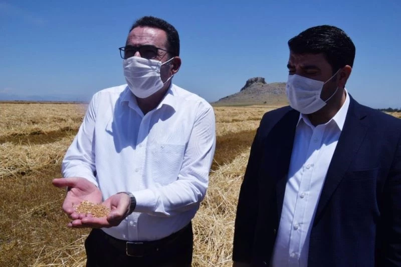 AK Parti’li Doğru: 