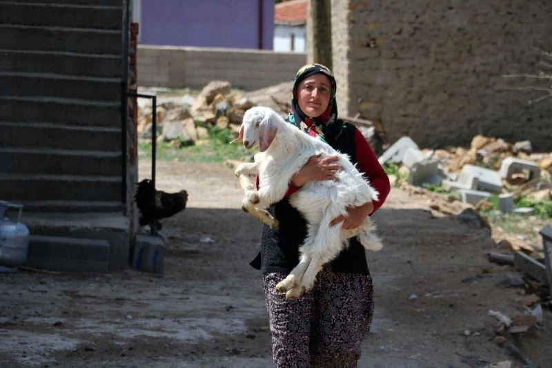 Sakat doğan oğlağı, anne şefkati ile büyütüyor
