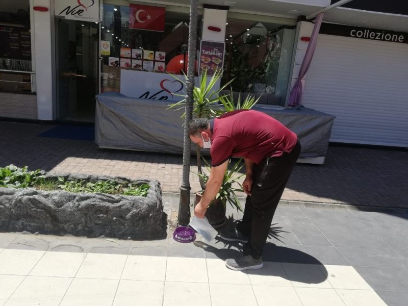 Öğretmen, öğrenci ve velilerden sokak hayvanlarına su
