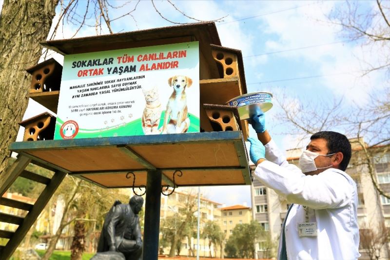 HAYTAP’tan Büyükşehir Belediyesine teşekkür
