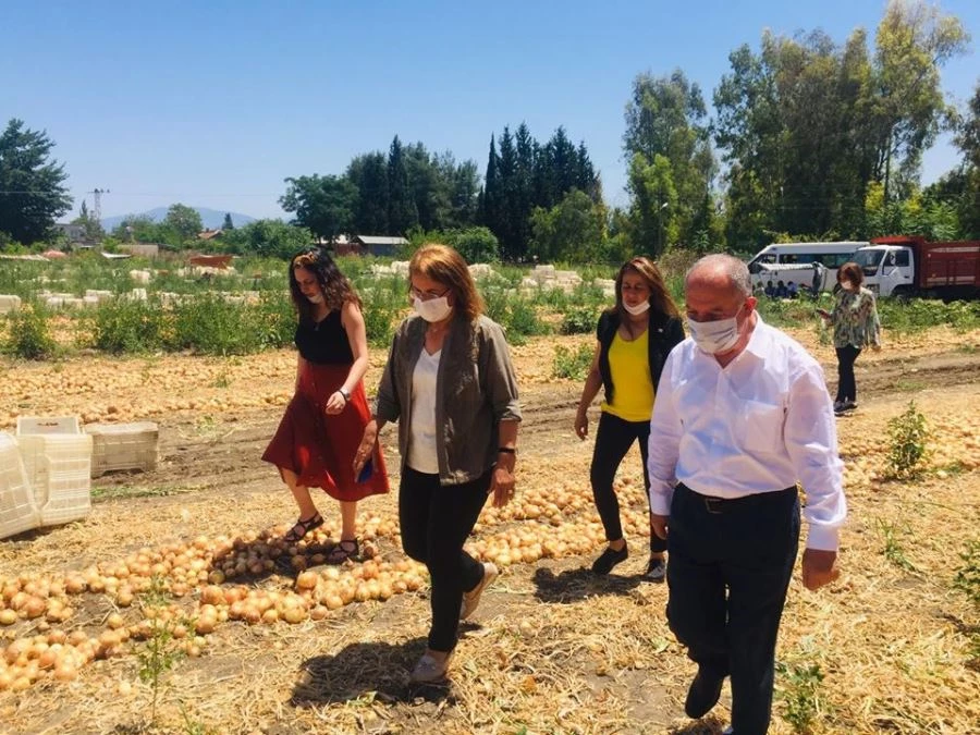 CHP OSMANİYE İL BAŞKANI AŞIK