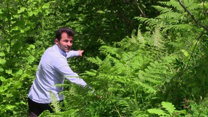 Türkiye’nin Gürcistan sınırındaki Macahel’e göktaşı düştüğü iddiası yöre halkını heyecanlandırdı
