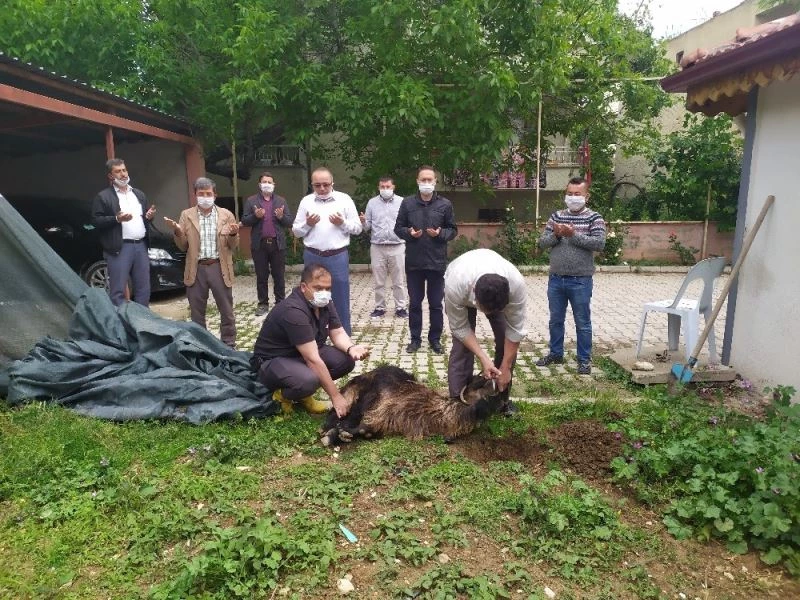 Camilerin ibadete açılmasıyla şükür için hayvan kesildi
