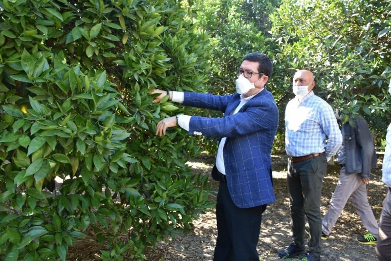 Saylak, narenciye üreticileri ile bir araya geldi
