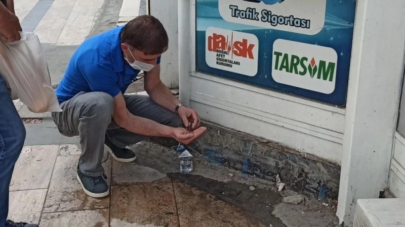 Yuvadan düşen kuşu canlandırmaya çalışan esnaf, uzun süre uğraştı
