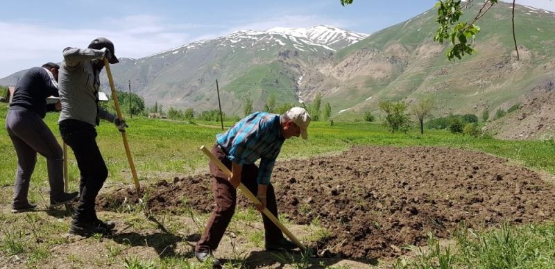 Tarlalarını kürekler ile kazarak ekime hazırlıyorlar
