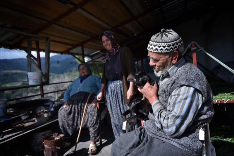 Yaşlı çift, evlerinin bir bölümünü kedilere yuva yaptı