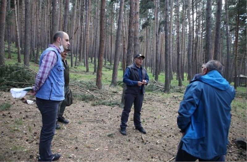 Erzurum Bölge Müdürü Ayatay, Ardahan Orman İşletme Müdürlüğünde incelemelerde bulundu
