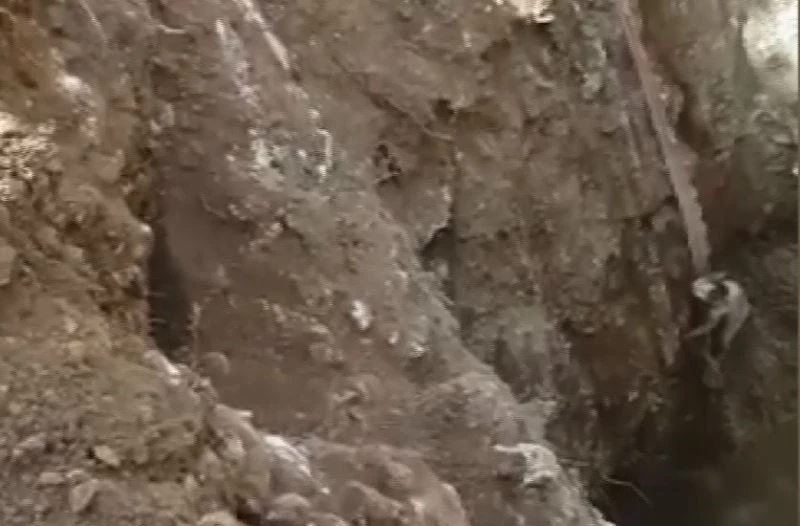 Kuyuya düşen kedi branda ile kurtarıldı
