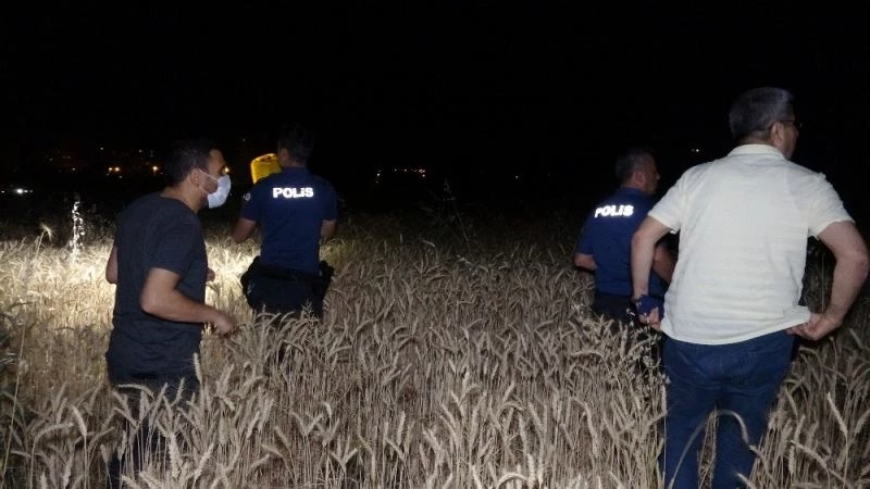 ‘Çığlık ve silah seslerinin geldiği ekili alan didik didik arandı
