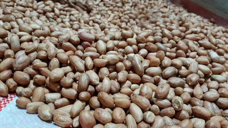 Kilosu 50 liraya çıkan yer fıstığı cevizi solladı
