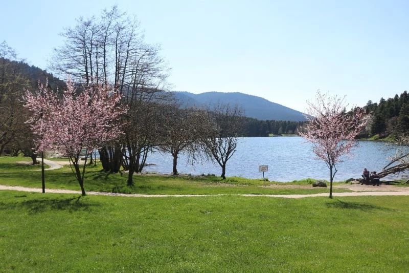 Bolu’da tabiat ve milli parklarda randevulu sistem uygulanmayacak
