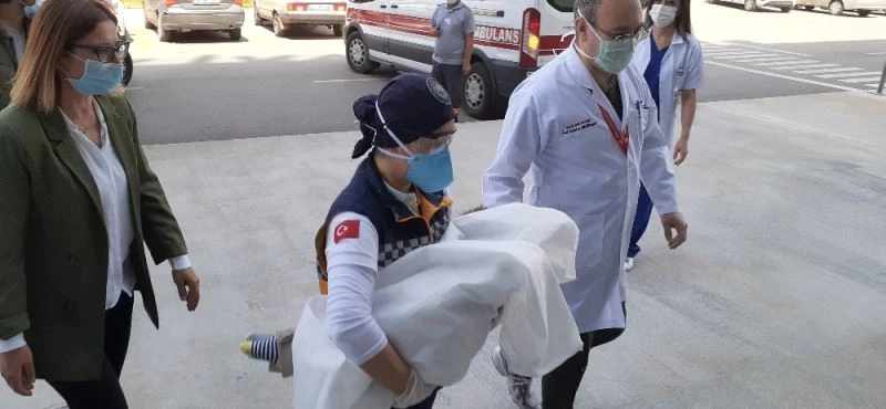 Yapışık ikizler Yiğit ve Derman Ankara Şehir Hastanesine yerleştirildi
